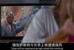 成人精品视频,深度解析内容与价值